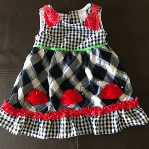 Unique Plaid Ladybug Dress (size 18 months)